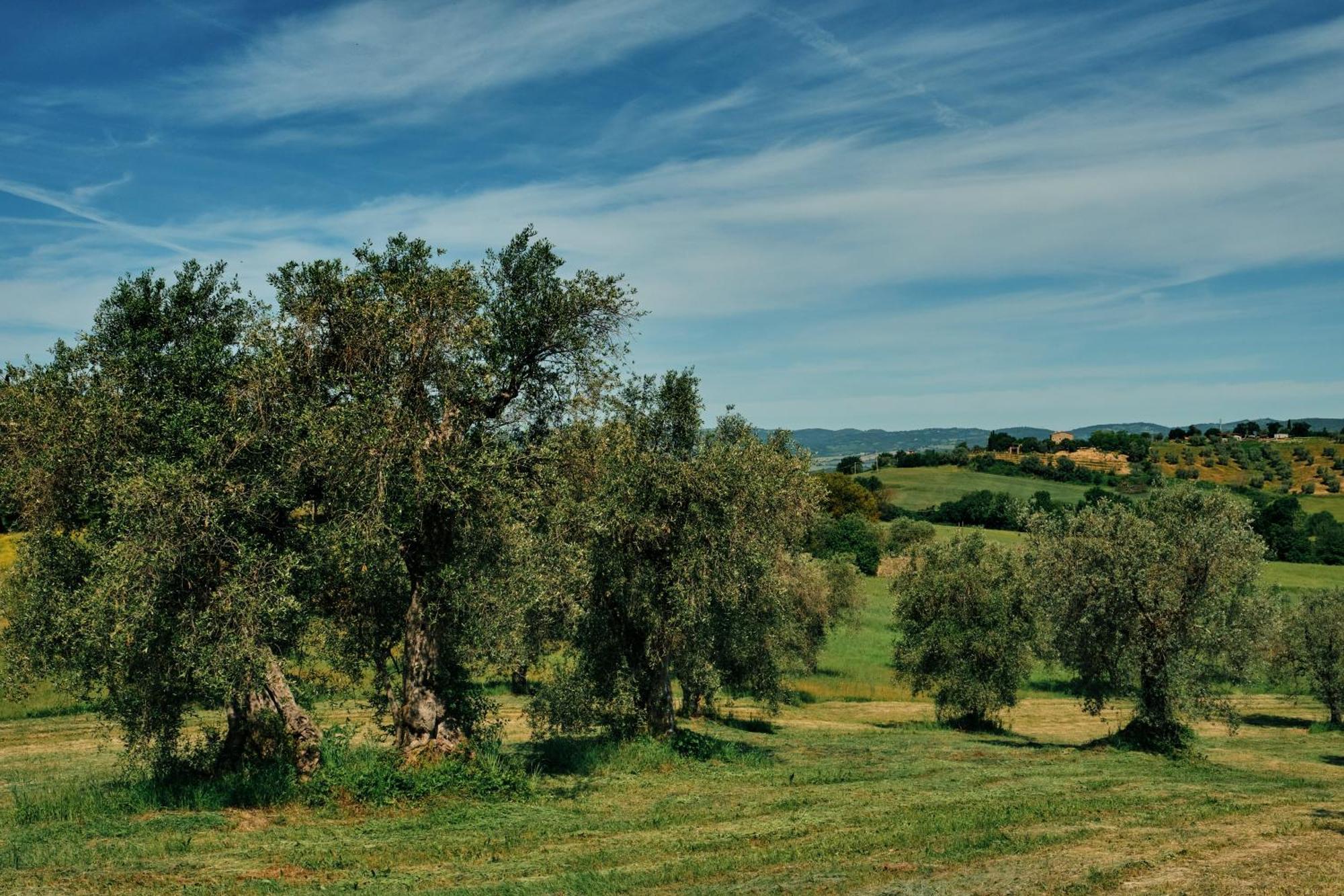 8380 Agriturismo Il Saragiolo Manciano Exteriör bild