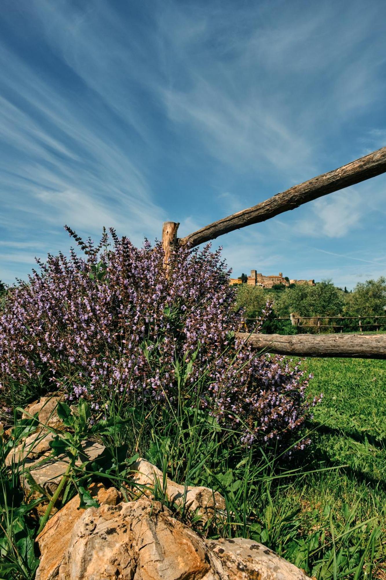 8380 Agriturismo Il Saragiolo Manciano Exteriör bild