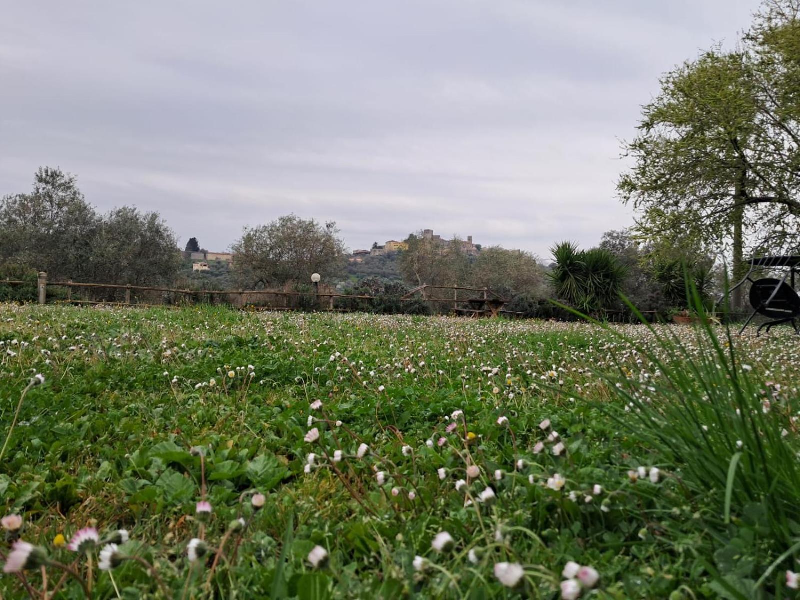 8380 Agriturismo Il Saragiolo Manciano Exteriör bild